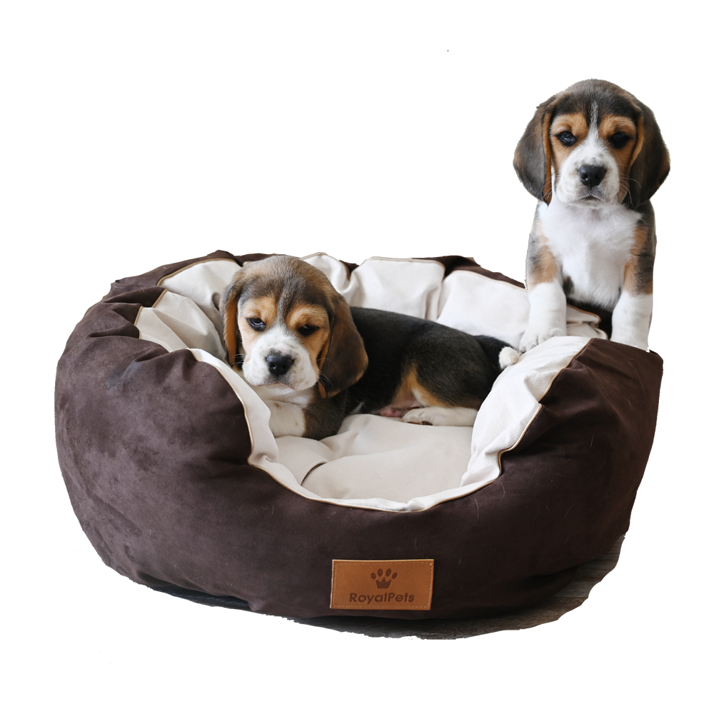 RoyalPetsProducts.pl | Luksusowe legowiska dla psów