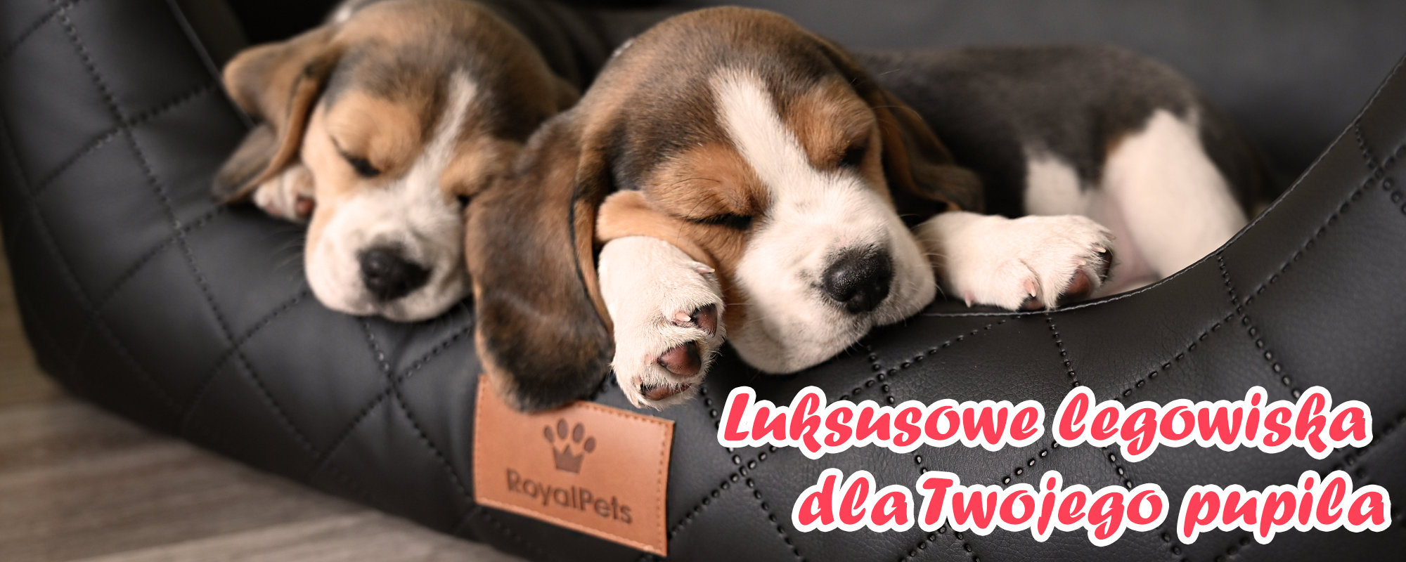 royalpetsproducts.pl luksusowe legowiska dla psów
