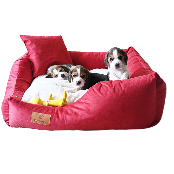 Królewska sofa dla psa z poduszką legowisko dla psa