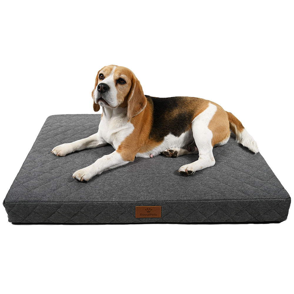 RoyalPetsProducts.pl | Luksusowe legowiska dla psów 